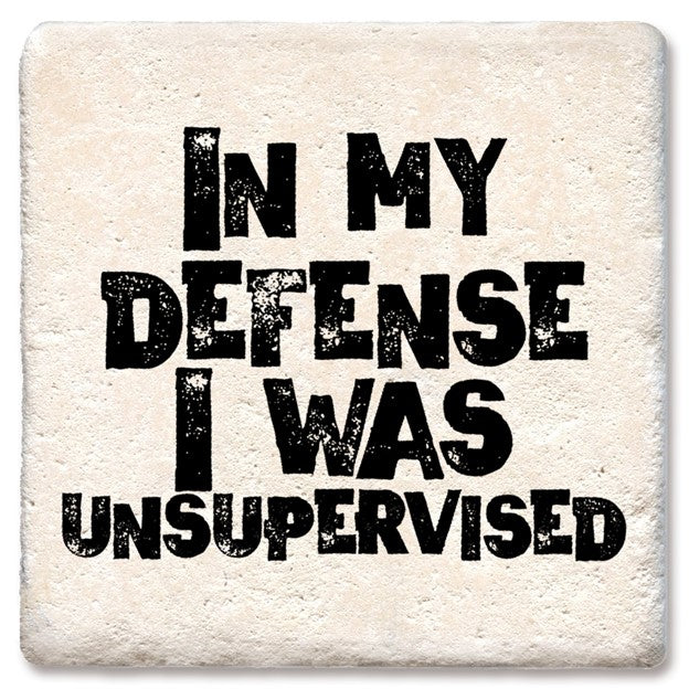 In My Defense I Was Unsupervised Coaster