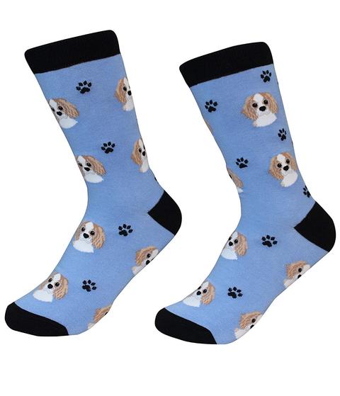 Sock Daddy Cavalier King Charles Socks