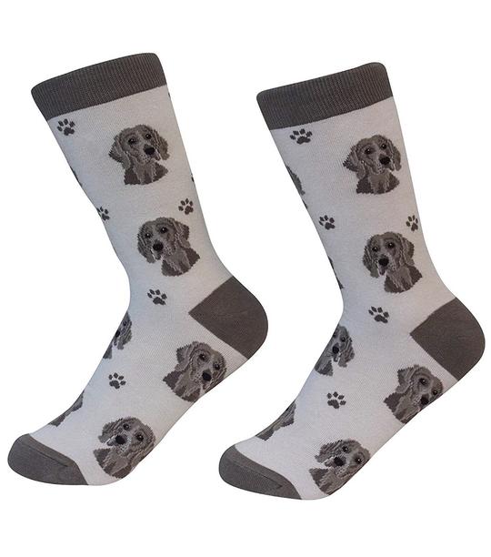 Sock Daddy Weimeraner Socks