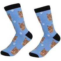 Sock Daddy Orange Tabby Cat Socks