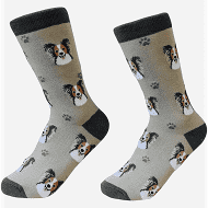 Sock Daddy Papillon Socks