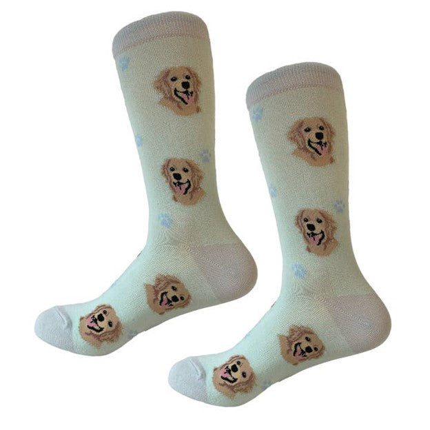 Sock Daddy Golden Retriever