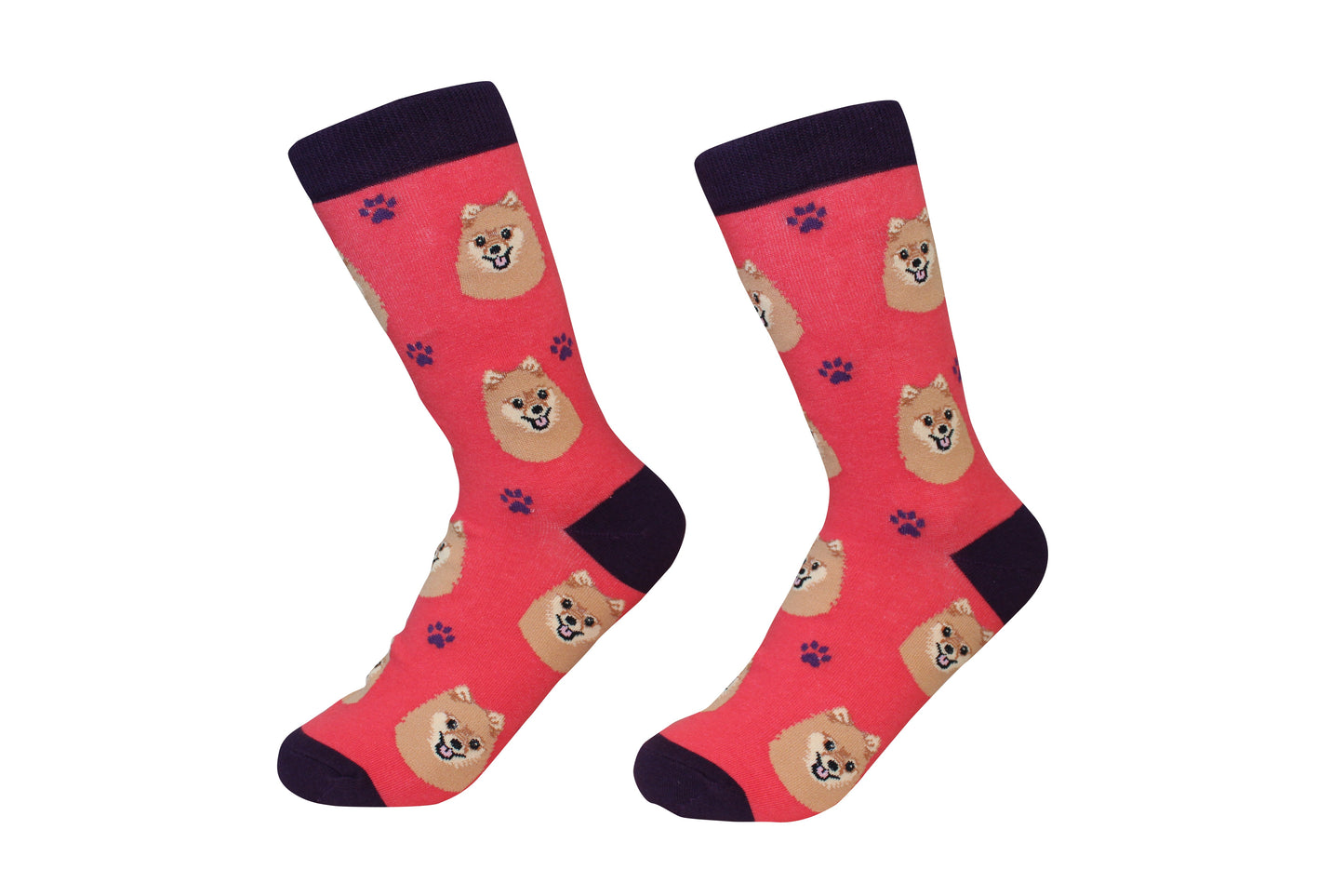 Sock Daddy Pomeranian Socks