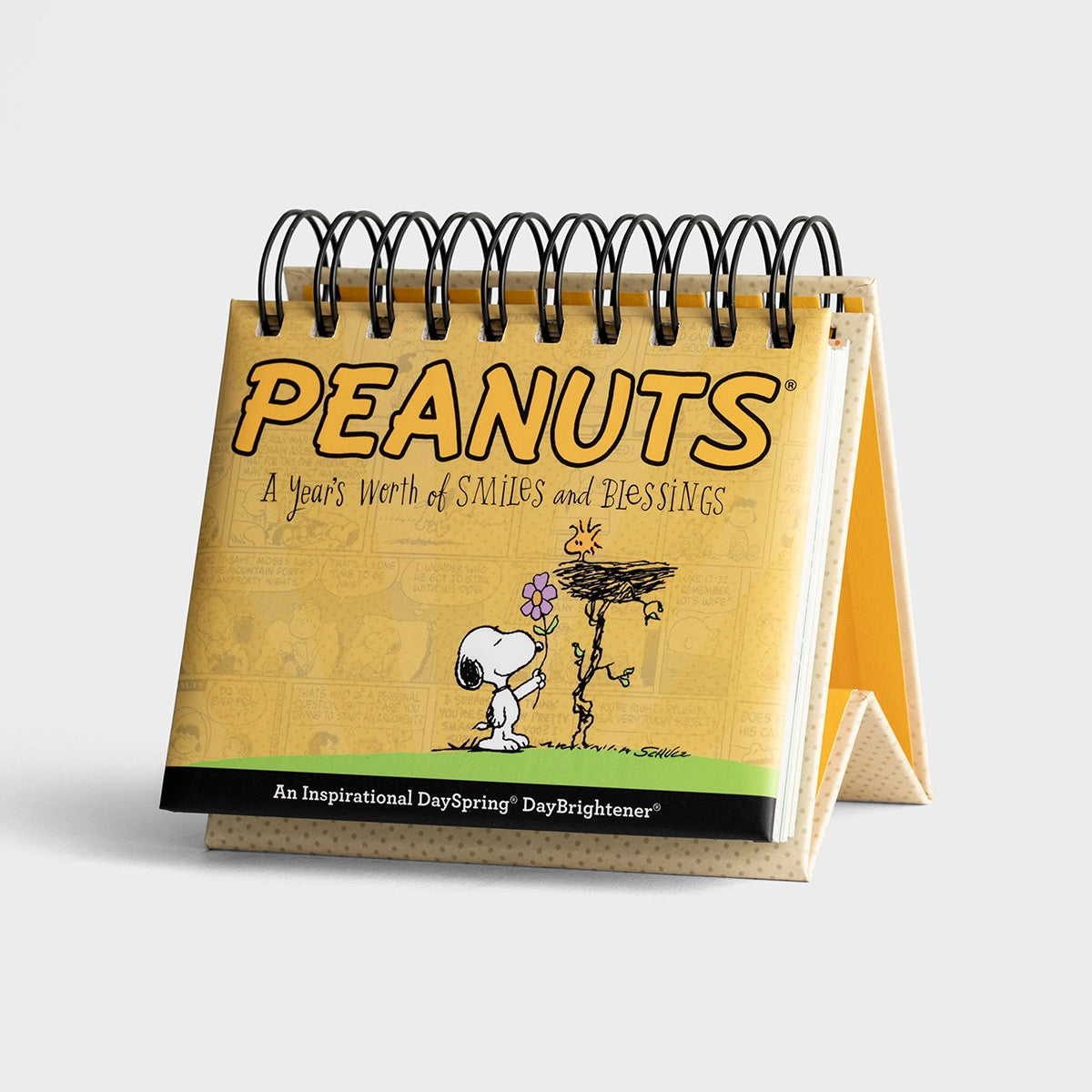 Dayspring Peanuts Calendar