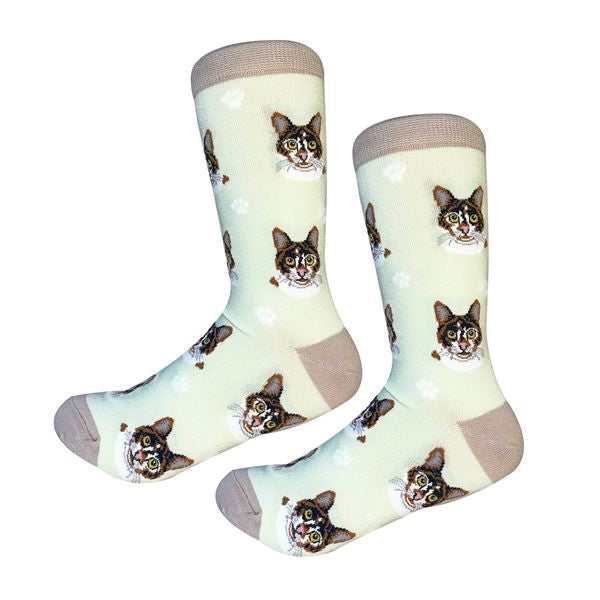 Sock Daddy Calico Cat Socks