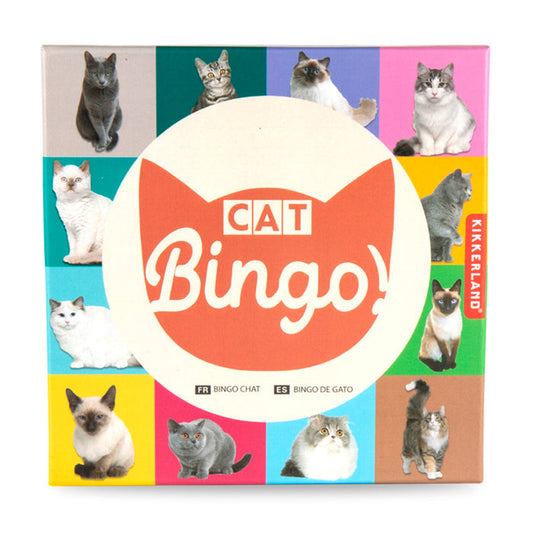 Cat Bingo Game