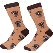 Sock Daddy German Shorthaired Pointer Socks